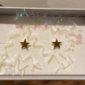 💥Minimalist Hypoallergenic Star stud Earrings